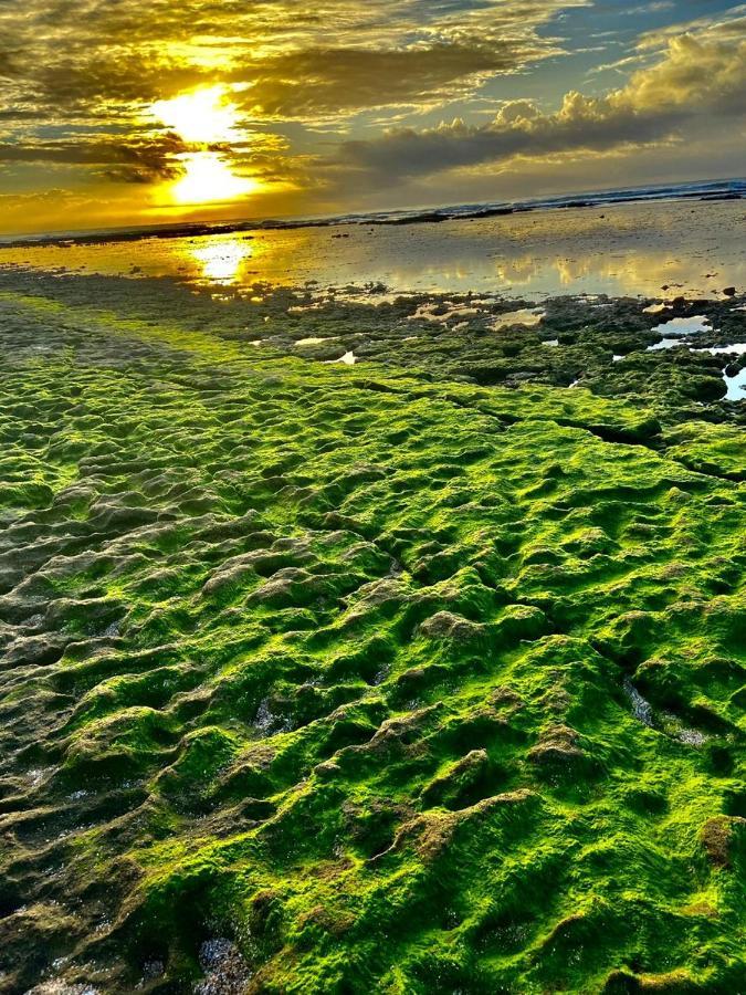 Paraiso Dos Corais Guarajuba Esterno foto